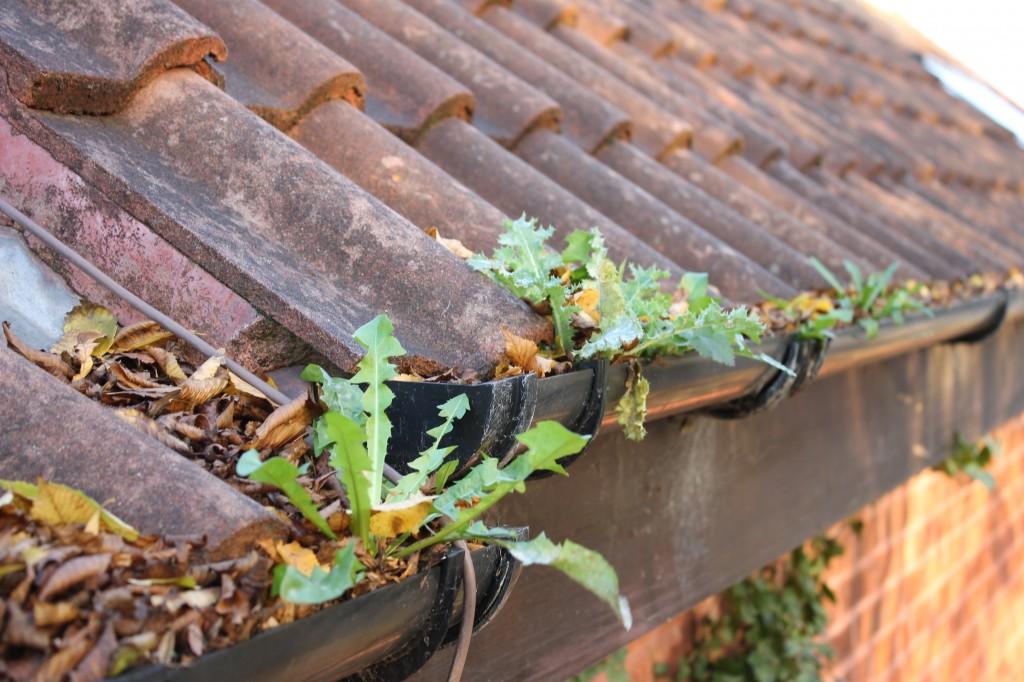 Gutter Cleaning Services blocked gutter cleaning services, weymouth & portland